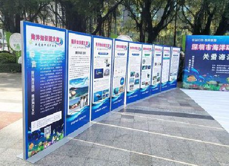 扶风KT板的种类和知识。